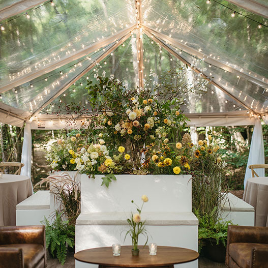 Sustainable Clear Tent