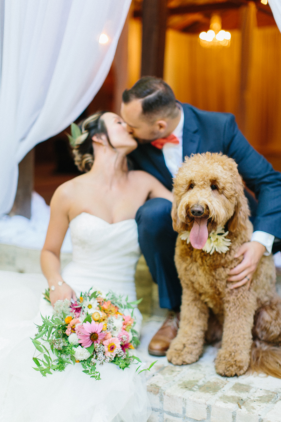 wedding dog flower collar